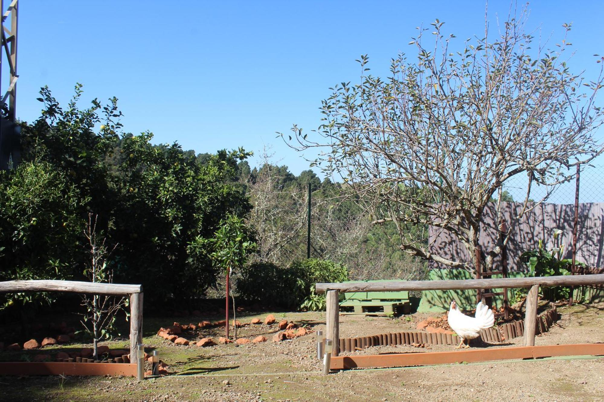 Finca Esther Λας Πάλμας ντε Γκραν Κανάρια Εξωτερικό φωτογραφία