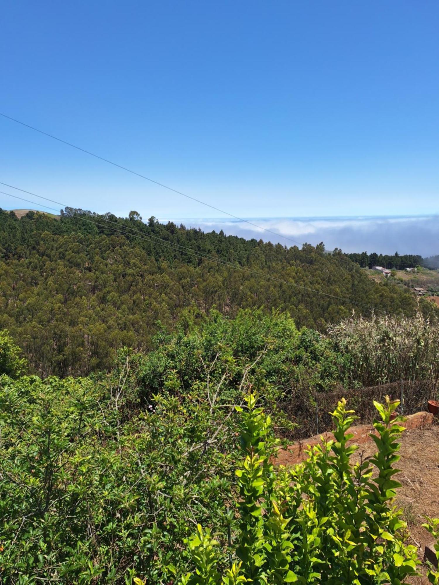 Finca Esther Λας Πάλμας ντε Γκραν Κανάρια Εξωτερικό φωτογραφία
